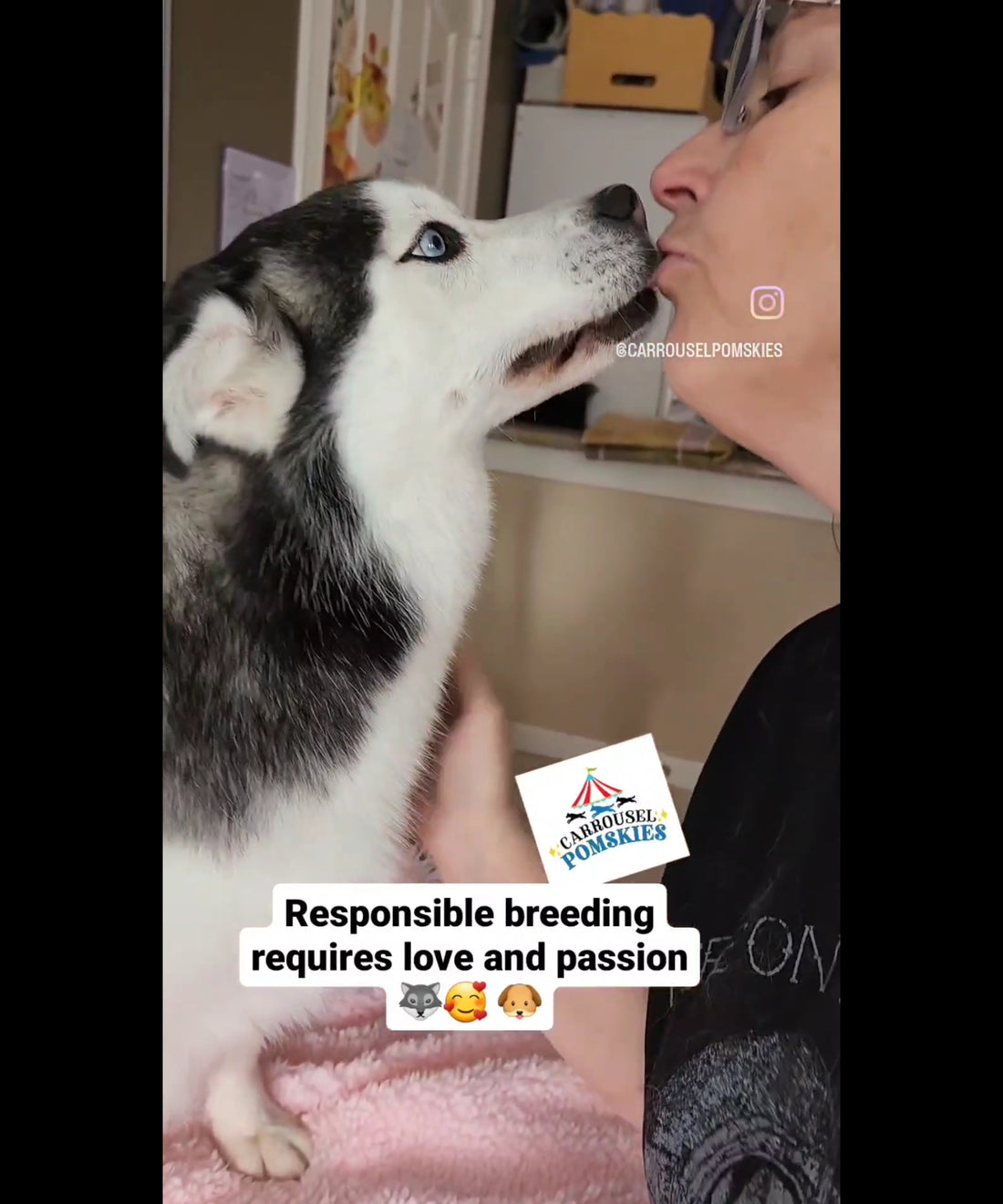 Breeding dogs requires passion and love for the breed